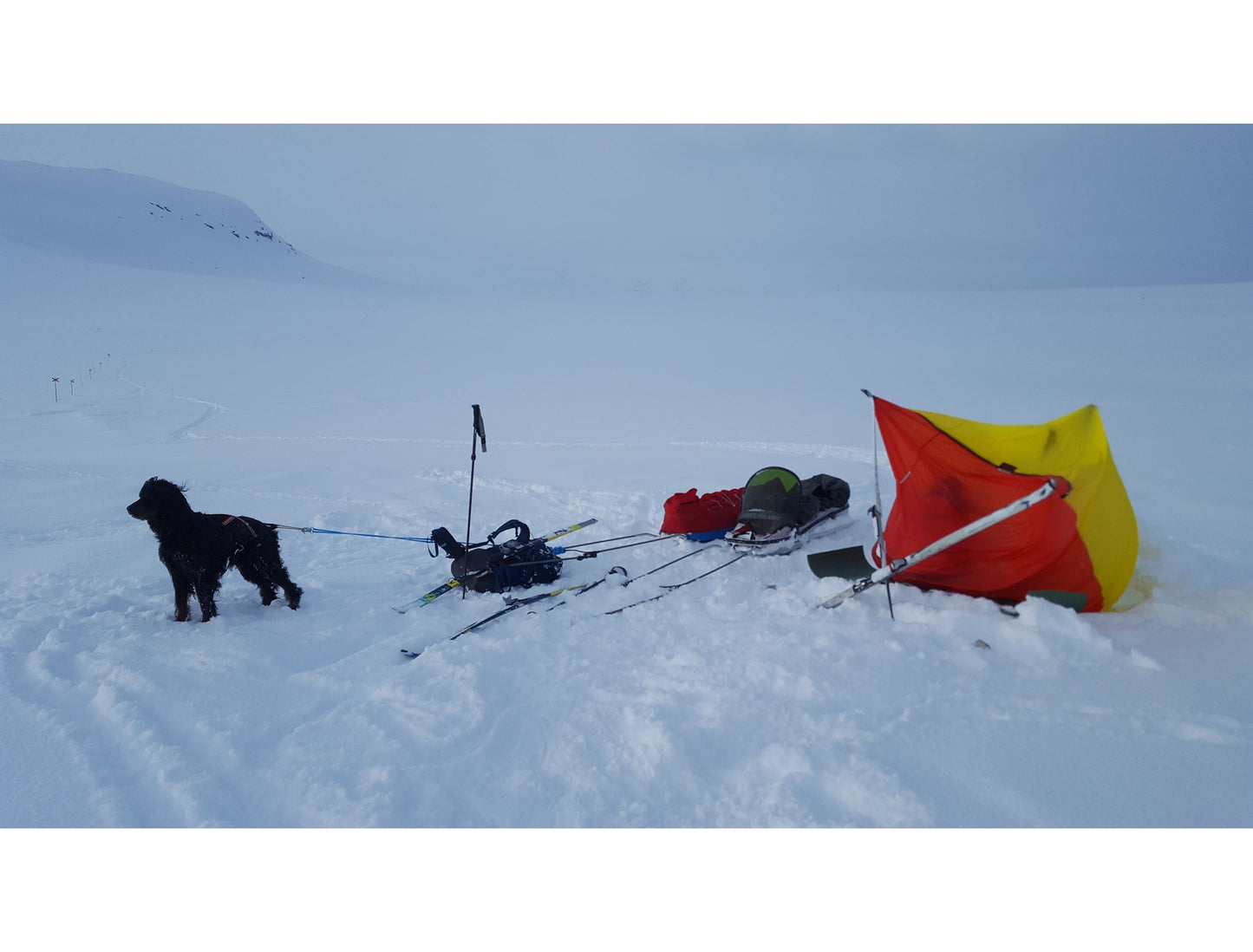 HILLEBERG Windsack 3 Red 緊急帳 mabuvalley