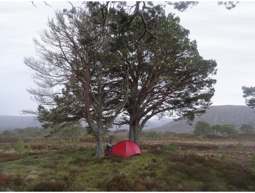 HILLEBERG Niak self-standing tent – Hilleberg Taiwan