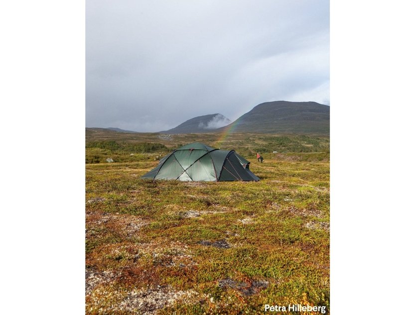 HILLEBERG Saivo 4 賽佛 帳篷 mabuvalley